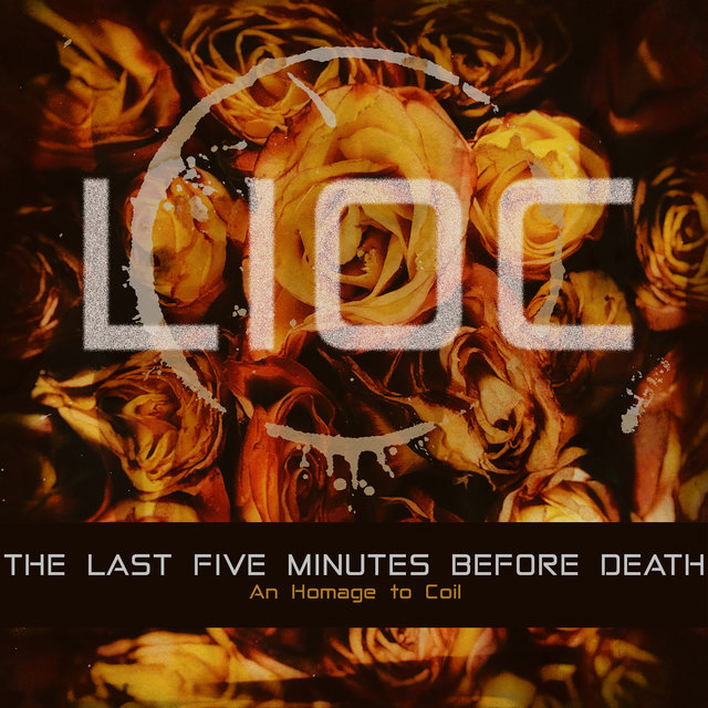 The Last Five Minutes Before Death an Homage to Coil (Remix)