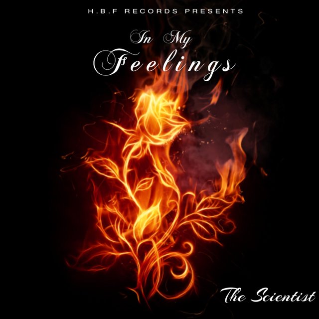 In My Feelings
