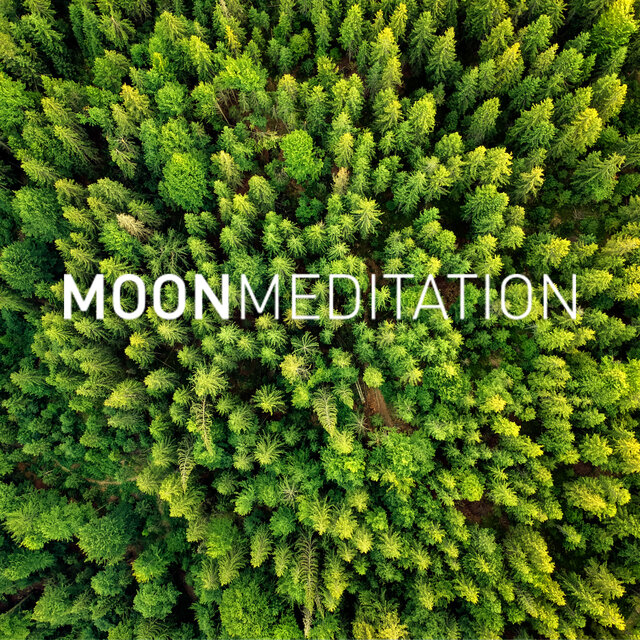 Moon Sleep