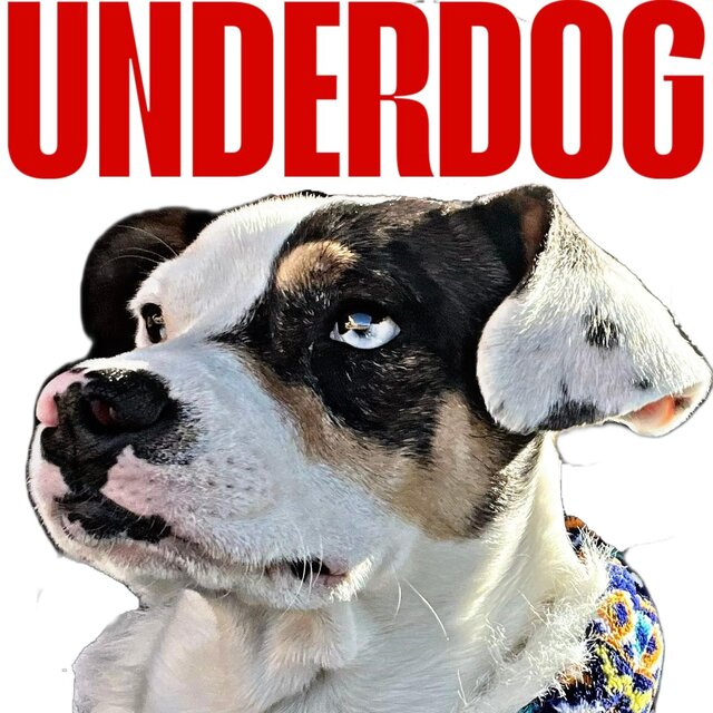 Underdog