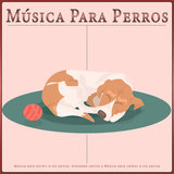 Música de piano para mascotas