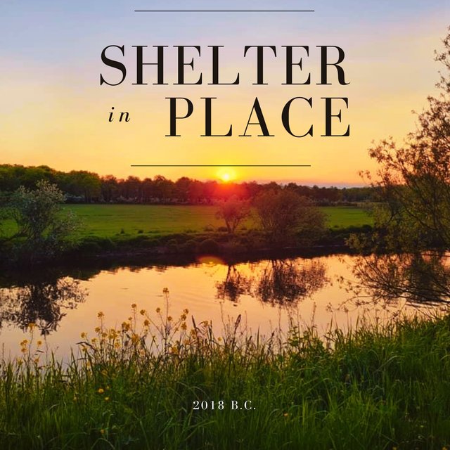 Shelter In Place