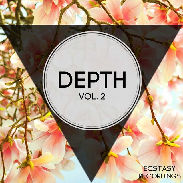 Depth, Vol. 2
