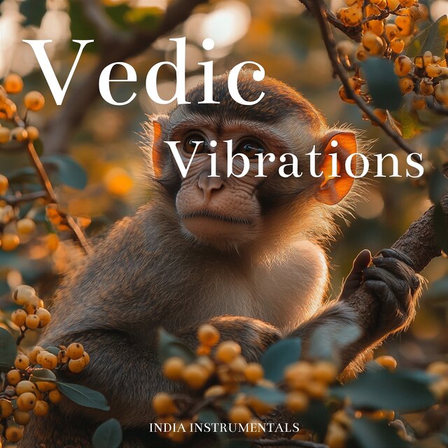 Vedic Vibrations