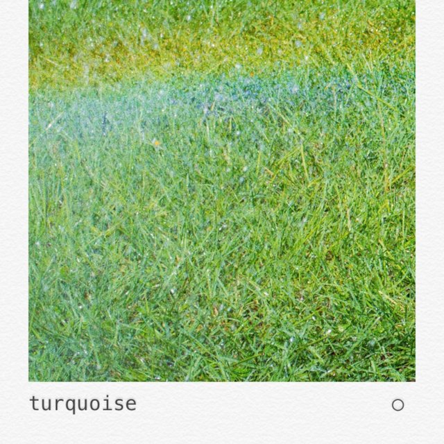 Turquoise