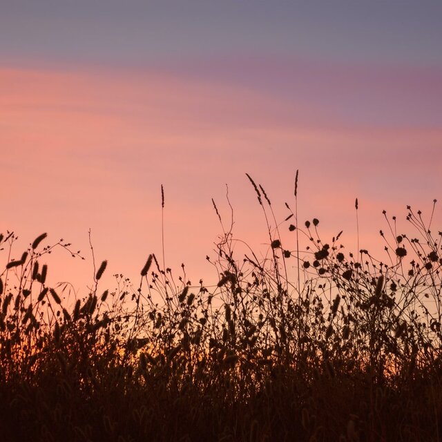Day's End