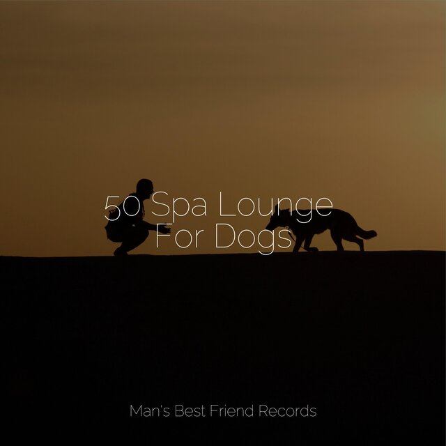 50 Spa Lounge For Dogs