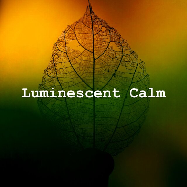 Luminescent Calm