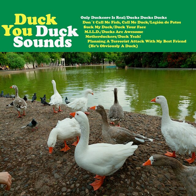 Duck Sounds