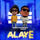 Alaye (feat. Zamani)