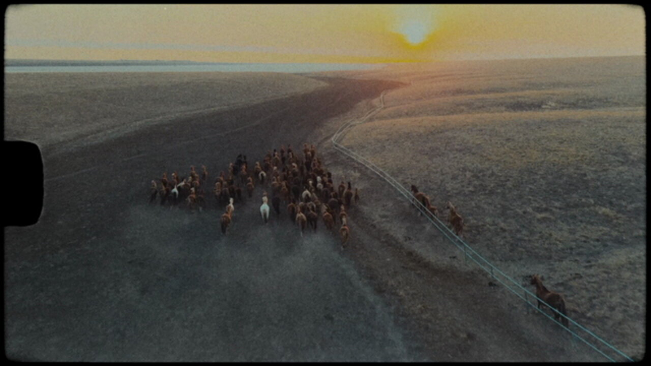 Wild Horses (Lyric Video)