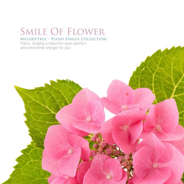Smile Of Flower