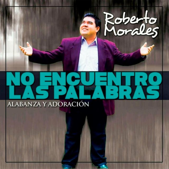 No Encuentro las Palabras