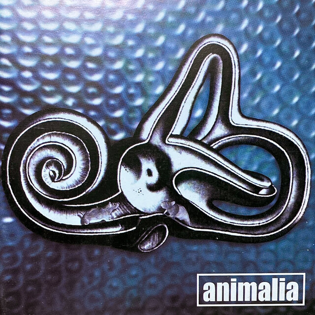 Animalia