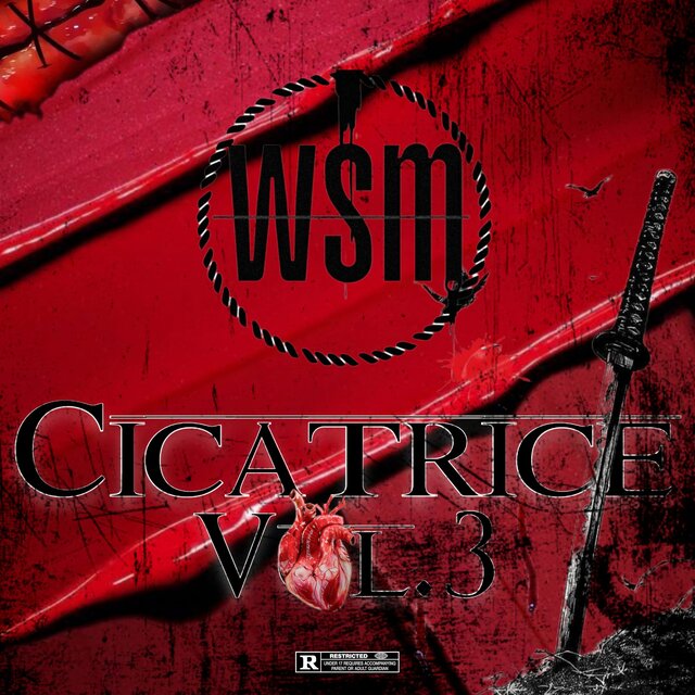 Cicatrice vol lll
