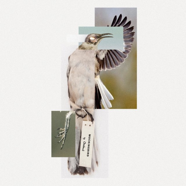 Mockingbird
