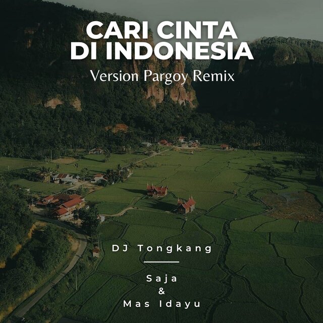 Cari Cinta Di Indonesia (Pargoy Remix)