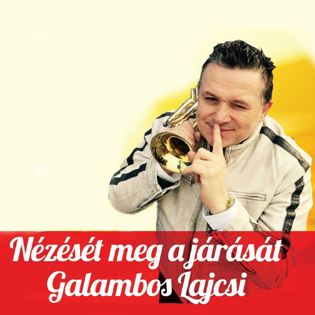Nézését Meg A Járását (A Legnagyobb Közönségslágerek)