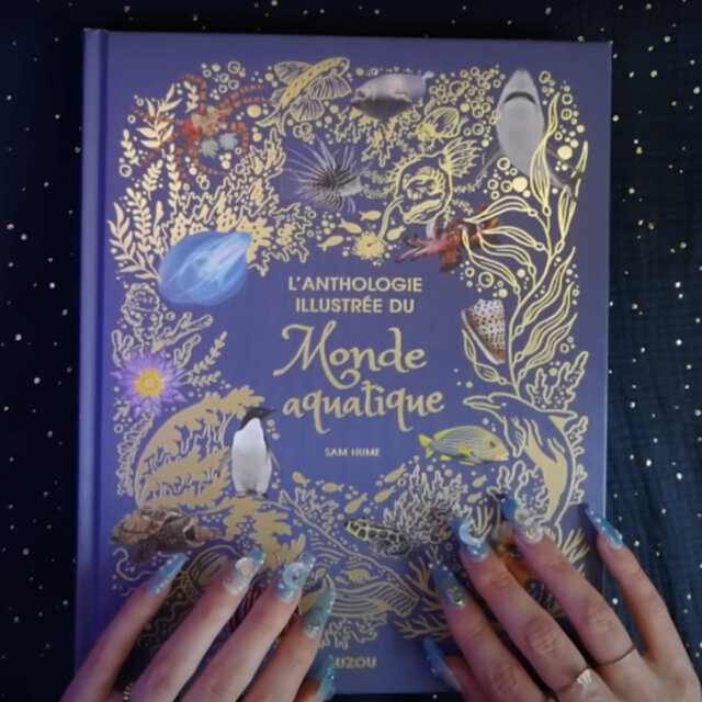 ASMR - Les Espèces Les Plus Fascinantes Des Fonds Marins