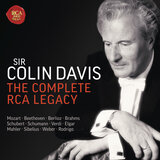 Violin Concerto in D Major, Op. 77: I. Allegro non troppo