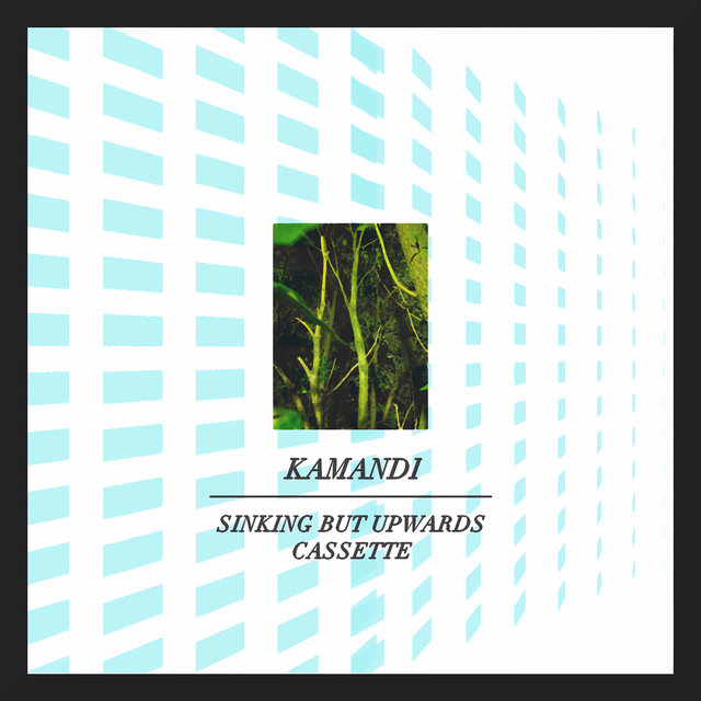 Sinking but Upwards Cassette