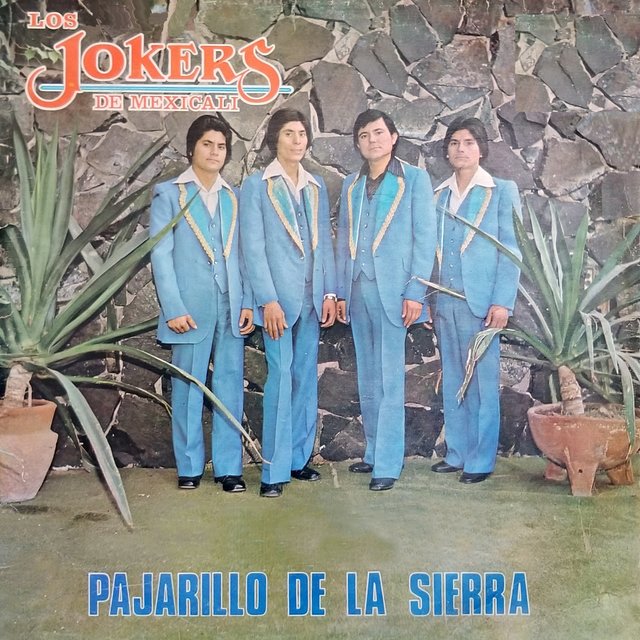 Pajarillo de la Sierra