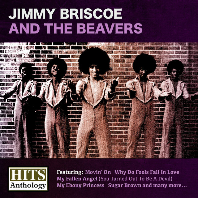 Cover art for album Hits Anthology by Jimmy Briscoe And The Beavers