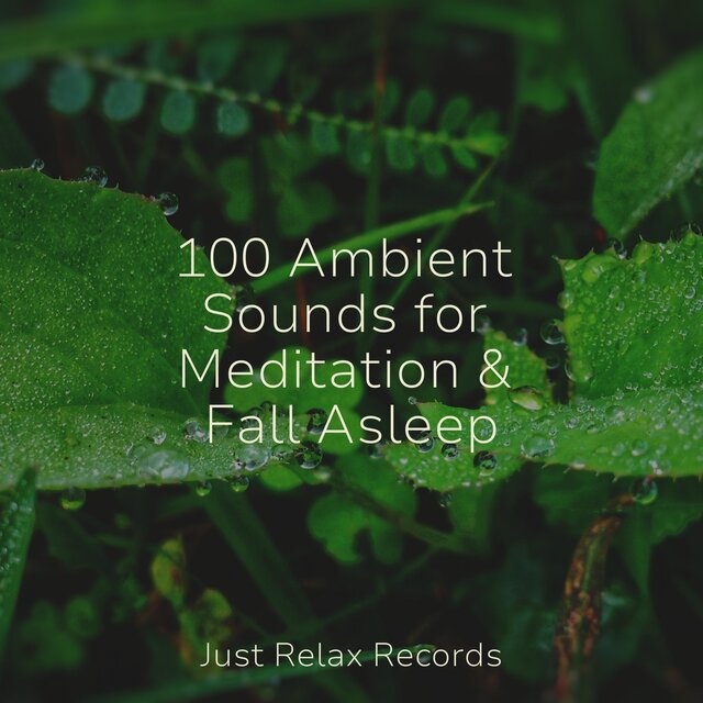 100 Ambient Sounds for Meditation & Fall Asleep