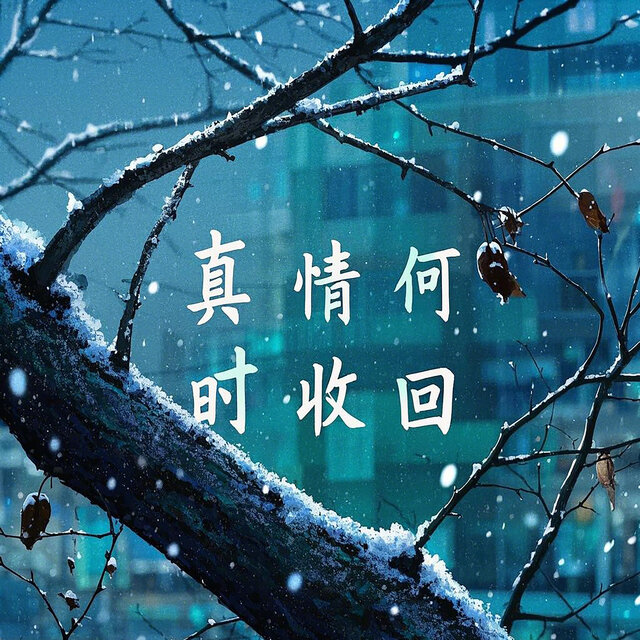 真情何时收回