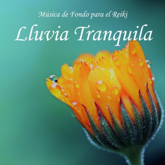 Música de Fondo para el Reiki: Lluvia Tranquila