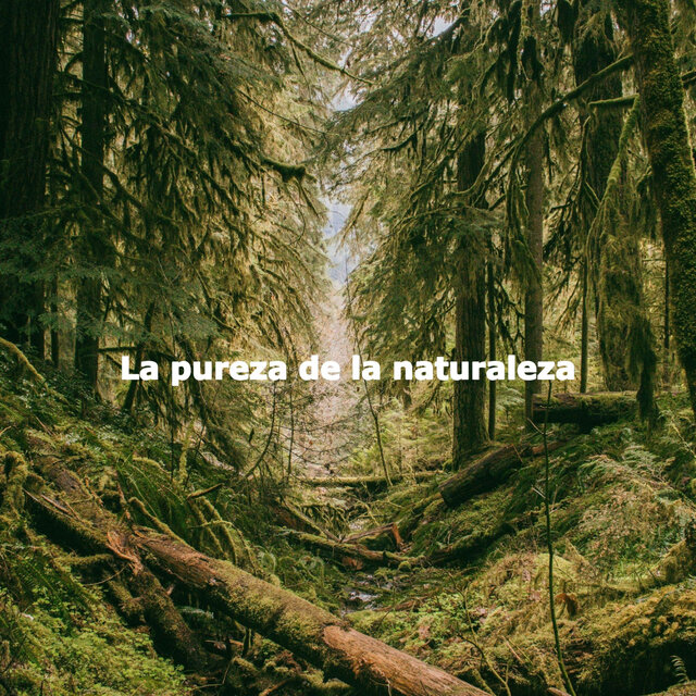 La pureza de la naturaleza