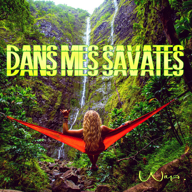 Dans mes Savates