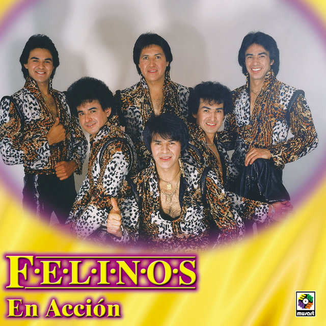 Felinos en Acción