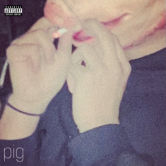 pig