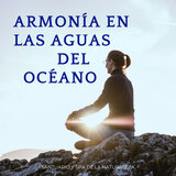 Spa Sereno De La Naturaleza Armónica Del Océano