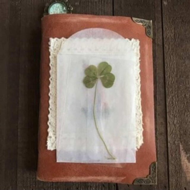 dear diary