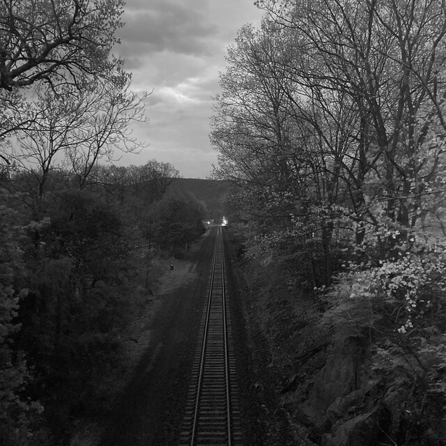 Beyond there’s no rails, it’s the trees