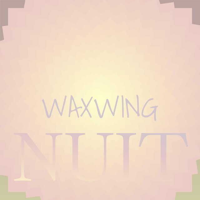 Waxwing Nuit