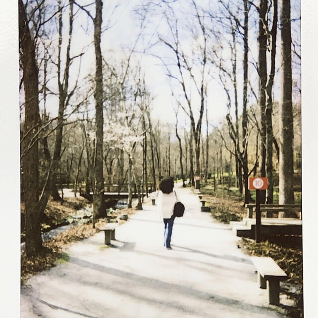 Where do you go?