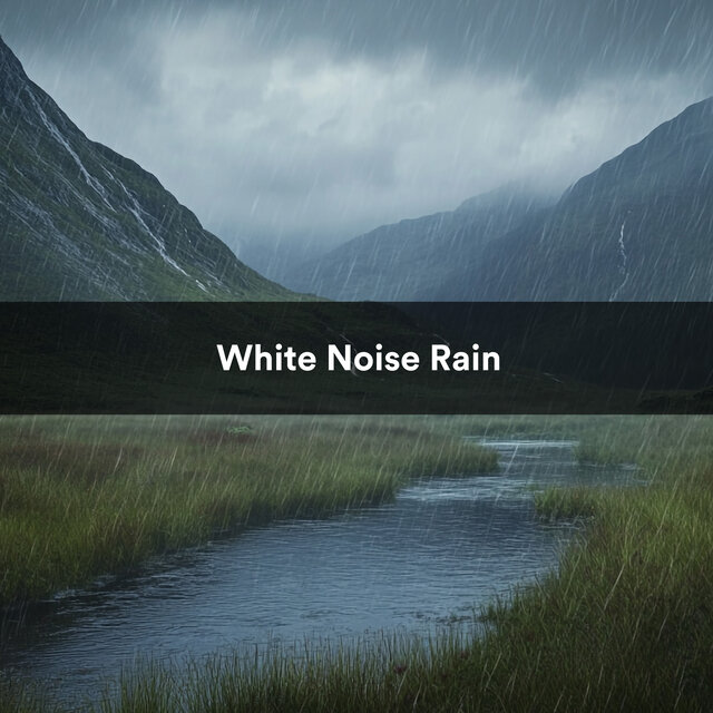 White Noise Rain
