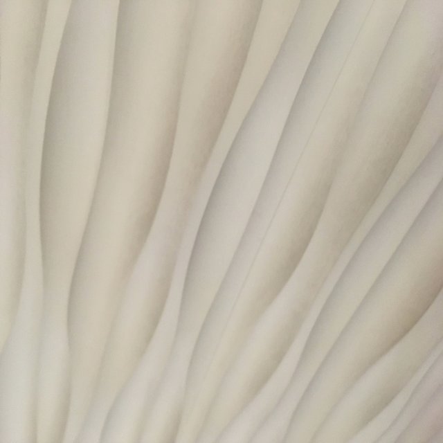 Here