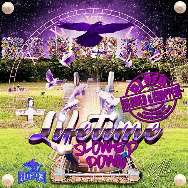 Lifetime Slowed Down (feat. Yella)
