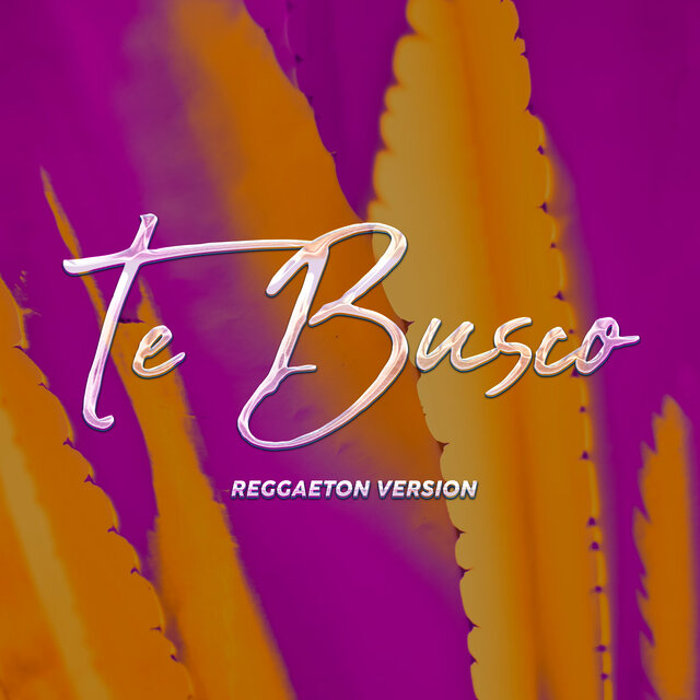 Te Busco (Reggaeton Version) (Remix)