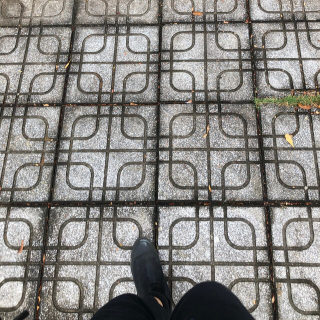 Như Bao Người Thoáng Qua