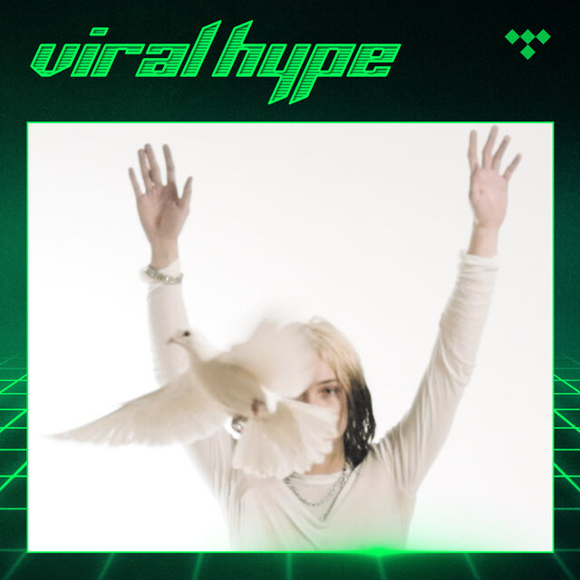 Cover art for album Viral Hype by TIDAL