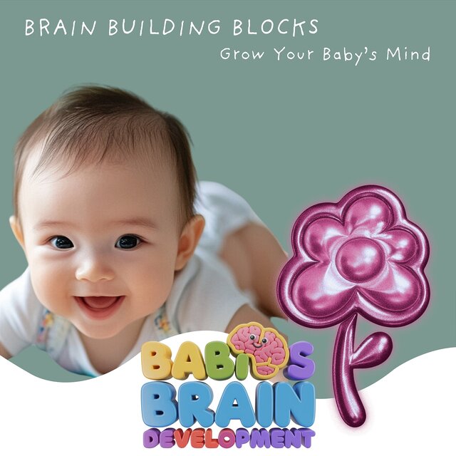 Brain Building Blocks: Grow Your Baby’s Mind