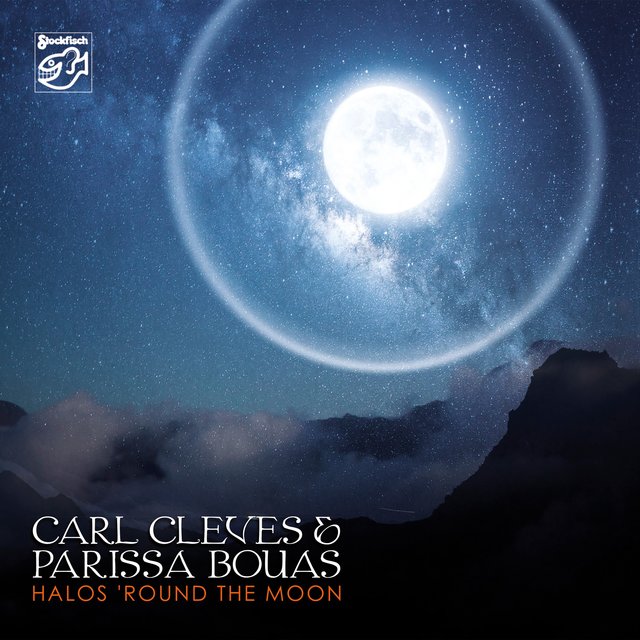 Halos 'Round the Moon