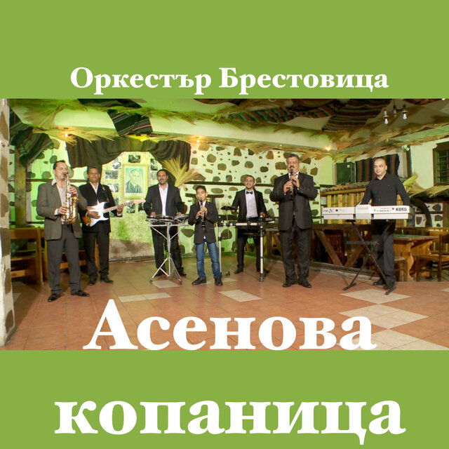 Асенова копаница