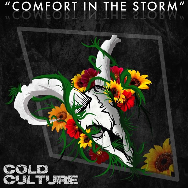 Comfort In The Storm