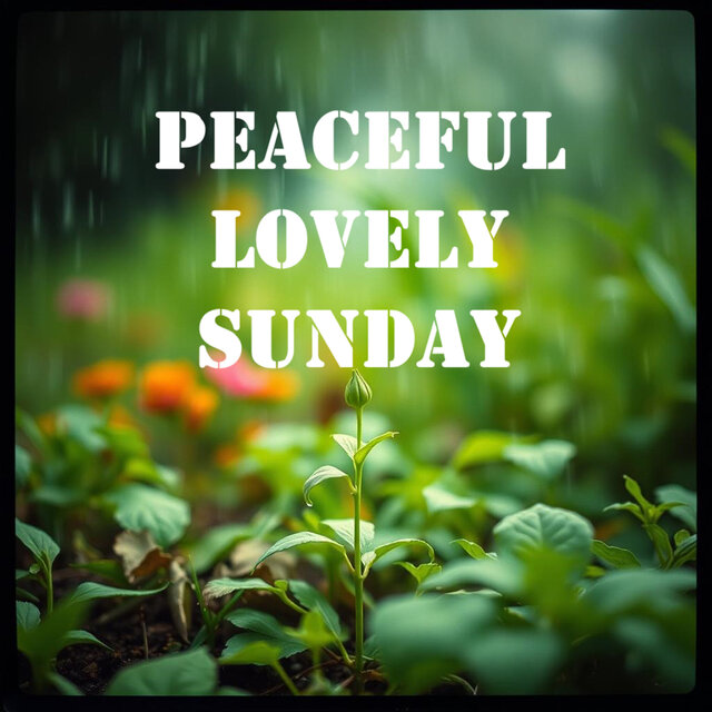 Peaceful Lovely Sunday